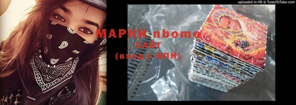 мдпв Гусев