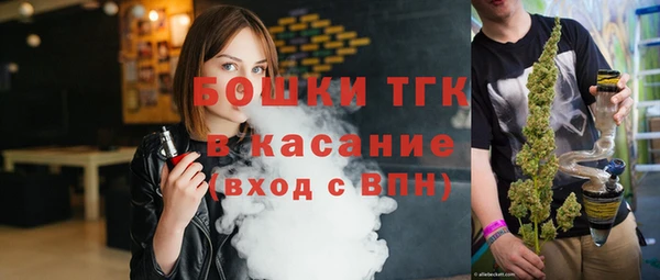 мдпв Гусев