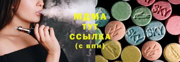 мдпв Гусев