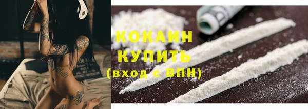 мдпв Гусев