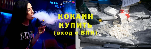 мдпв Гусев