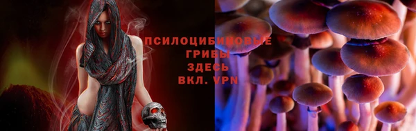метамфетамин Гусь-Хрустальный