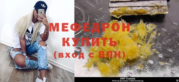 мдпв Гусев