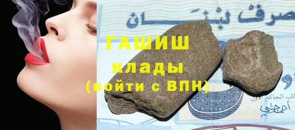 мдпв Гусев
