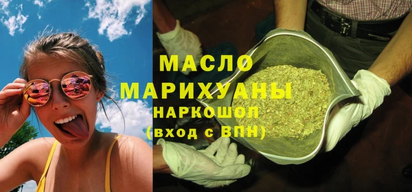 мдпв Гусев