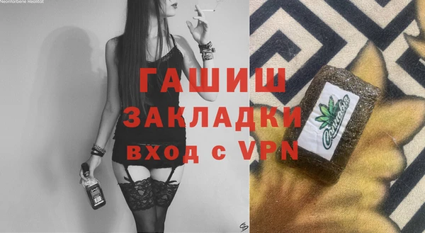 мдпв Гусев