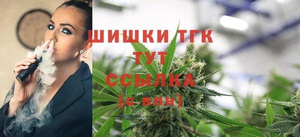 мдпв Гусев