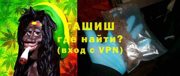 мдпв Гусев
