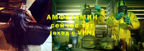 мдпв Гусев