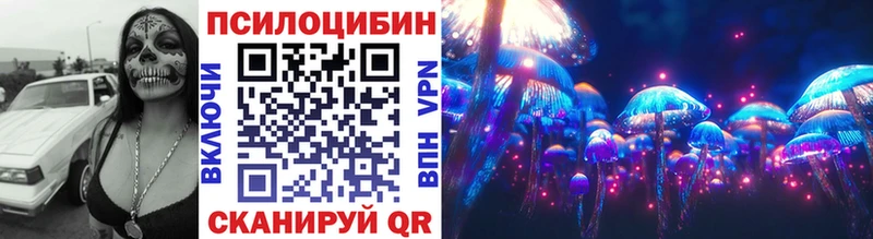 Купить закладки  Нижние Серги  Галлюциногенные грибы Psilocybine cubensis 